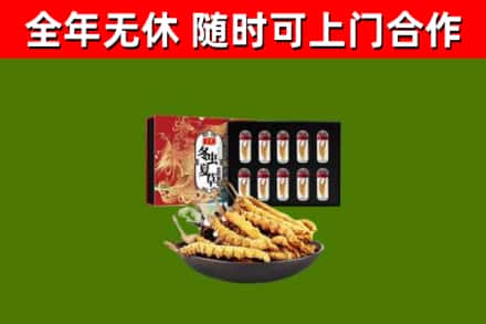 爱辉区烟酒回收冬虫夏草礼盒.jpg